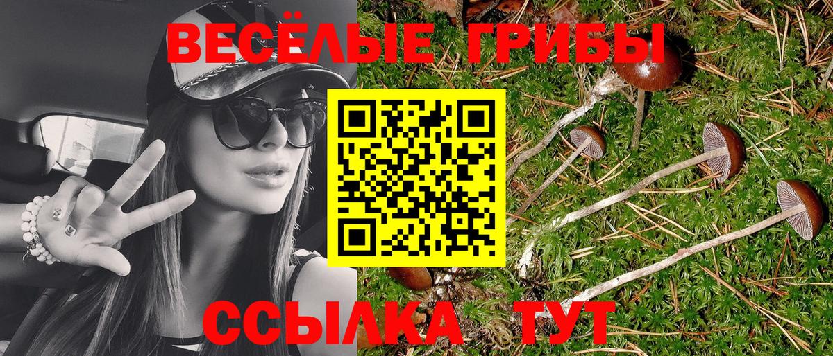 Галлюциногенные грибы MAGIC MUSHROOMS  Вход с VPN  где купить наркоту  Советская Гавань 